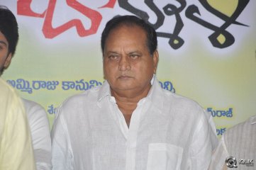 Brother Of Bommali Movie Success Meet